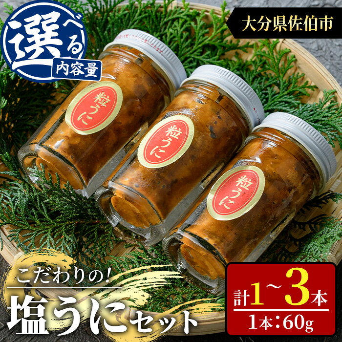 【ふるさと納税】＜内容量が選べる＞ こだわりの塩うにセット(60g×1〜3本) うに ウニ 雲丹 塩うに 冷凍 海の直売所 大分県 佐伯市 【AS93・AS162・AS163】【海べ】
