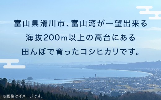 【6回定期便】富山湾一望米　コシヒカリ 精米 【容量5kg】農家直送 米 定期便