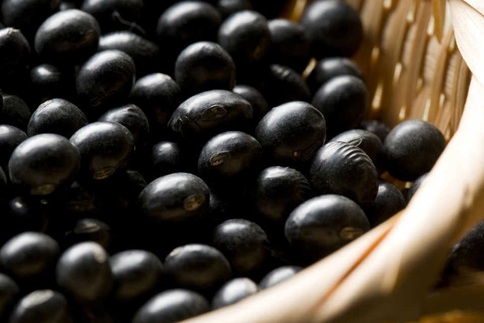 
            【令和7年産 丹波黒豆1.5Kg】黒豆 くろまめ 豆 丹波 滋賀県 竜王
          