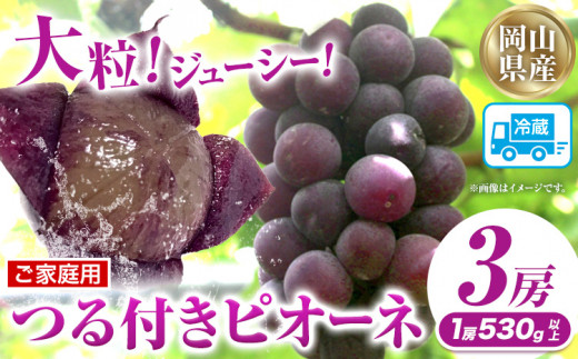 家庭用つる付きニューピオーネ 3房(1房530g以上)【配送不可地域あり】有限会社ホーティカルチャー神島 令和8年産先行受付《2026年9月中旬-10月下旬頃出荷》岡山県 笠岡市 送料無料 葡萄 フルーツ 果物 ニューピオーネ つる付き お取り寄せフルーツ