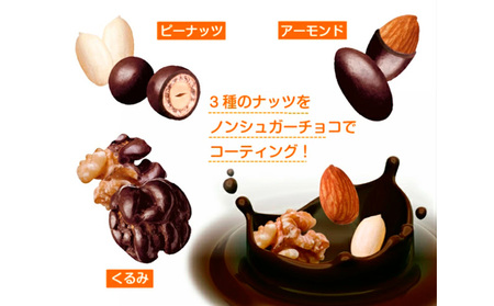 【定期便2回】【でん六】ロカボナッツチョコ 1kg×2ヶ月 小袋タイプ FZ23-601