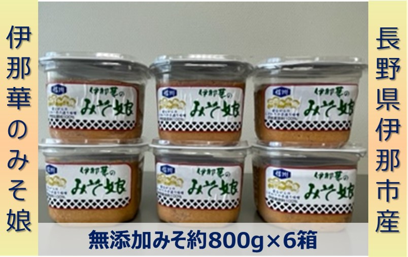 
【021-03】伊那華のみそ娘　みそ　800g×6個セット
