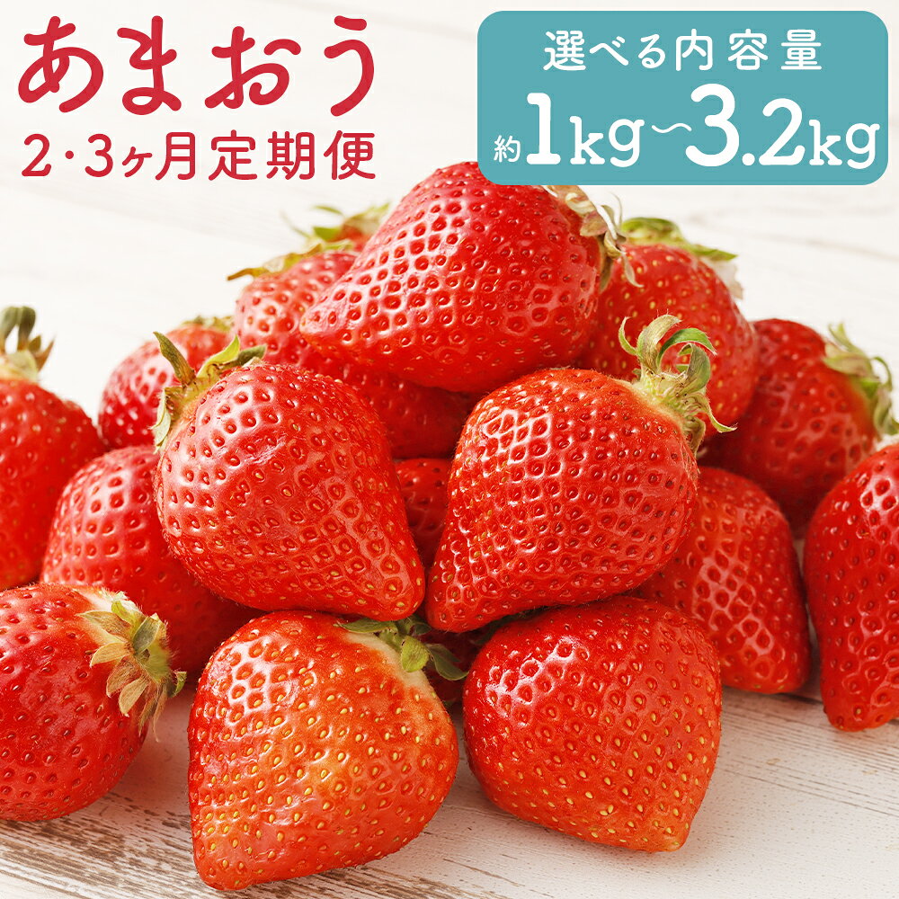【ふるさと納税】＜選べる内容量・定期便＞福岡県産 あまおう 1回あたり計約540g（約270g×2パック） / 計約1kg（約270g×4パック） 2回 3回 いちご イチゴ 苺 フルーツ くだもの 果物 果実 冷蔵 国産 福岡県 筑後市 送料無料 【2026年1月上旬～2027年2月下旬迄発送】
