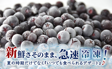 冷凍アロニア 500g 冷凍アロニア 冷凍 アロニア 果物