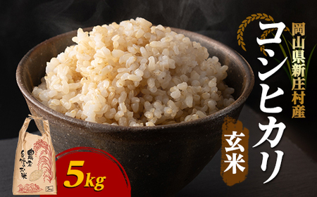 【令和7年産】新米コシヒカリ 村の「一等米」(玄米5kg×1袋) 岡山県産のお米【1489805】