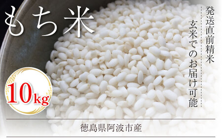 米 もち米 10kg 新米 令和7年産 餅 赤飯 おはぎ もち米 もち米 もち米