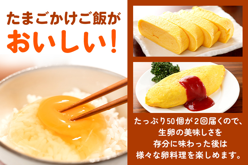 鶏卵50個（45＋補償5個）入り ×2回発送