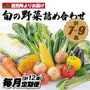 【ふるさと納税】【毎月お届け】むなかた旬のお任せセット（野菜）7～9品【JAほたるの里】_HB0173 送料無料新鮮 季節 美味しい 健康 直送 採れたて フレッシュ お楽しみ