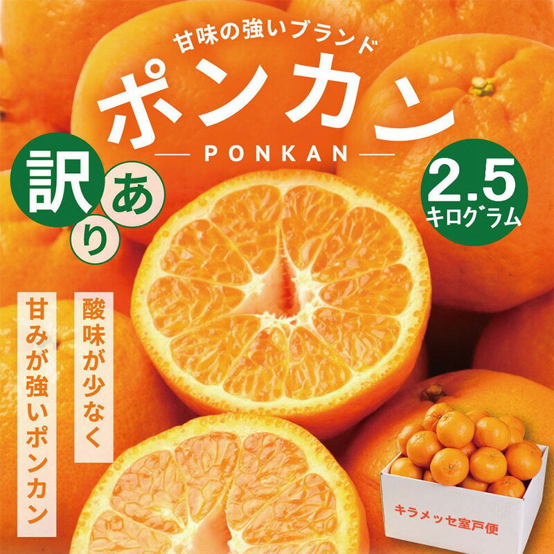 【ふるさと納税】 ポンカン 2.5kg | 道の駅直送 訳あり ぽんかん フルーツ 果物 くだもの 柑橘 みかん ミカン 傷あり 不揃い 家庭用 ワケアリ 送料無料 ふるさと納税みかん ふるさと納税果物 ふるさと納税フルーツ 人気みかん 人気果物 人気フルーツ 高知県 室戸市