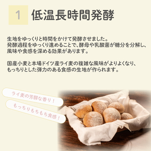 【芳醇な香り】 ライ麦 パン 10個 冷凍  ライ麦パン