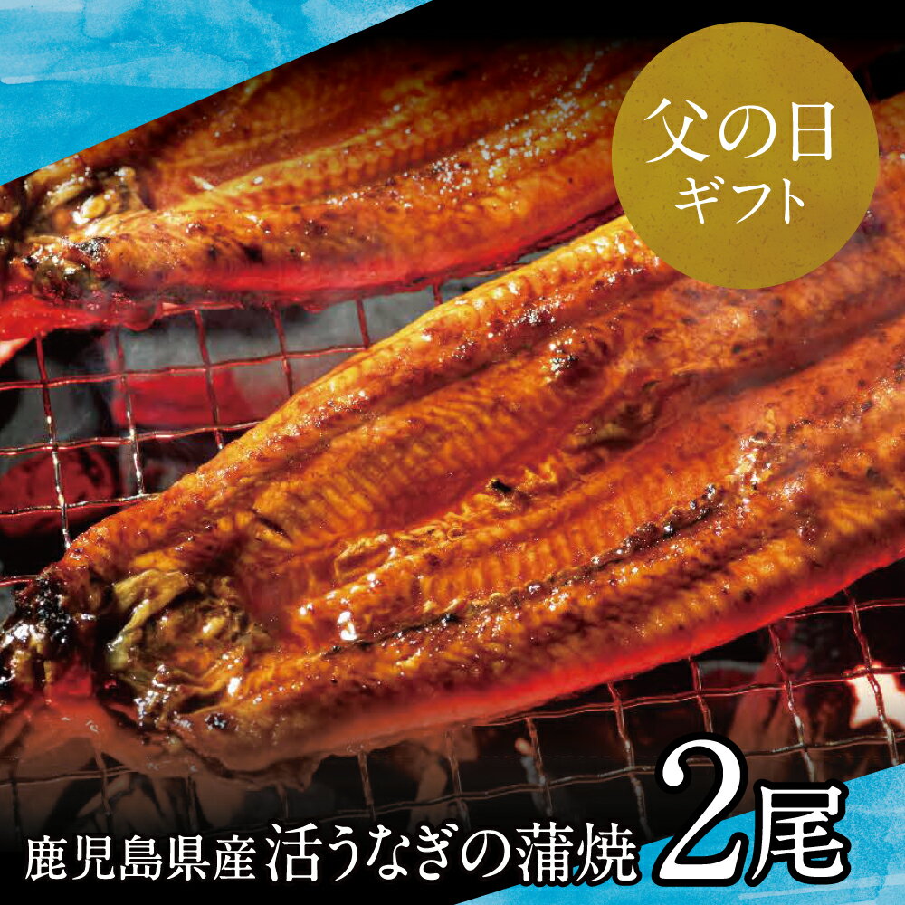 【ふるさと納税】【父の日ギフト】鹿児島県産 活うなぎの蒲焼2尾 国産 鰻 ウナギ グルメ うな重 うな丼 蒲焼 かば焼き お取り寄せ 鹿児島うなぎ 土用 お取り寄せグルメ 南さつま市 贈り物 ギフト 贈答用 送料無料