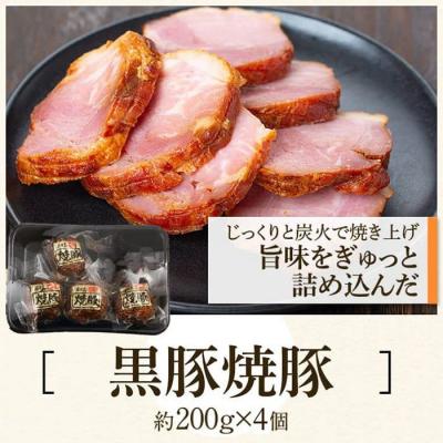 ふるさと納税 肝付町 ふるさと2選B(焼豚 約200g×4個、 餃子 12個入×10パック)　B02104 |  | 01