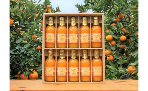 100％ みかんジュース 200ml 合計10本 セット ストレート 無添加 嶋市農園 ｜ 和歌山有田 丸絞り 和歌山 有田 国産 果汁 CL001
