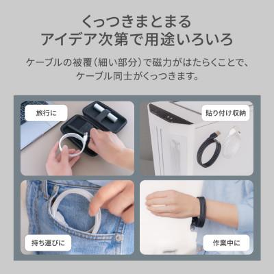 ふるさと納税 海老名市 (オウルテック) 磁力でまとまるUSB A to USB C マグネットケーブル 1m ホワイト |  | 03
