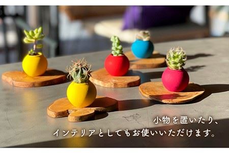 アグリューム オリーブウッド の コースター 10枚組み 長与町/アグリューム [EAI044]  オリーブ おしゃれ 木製 かわいい コースター