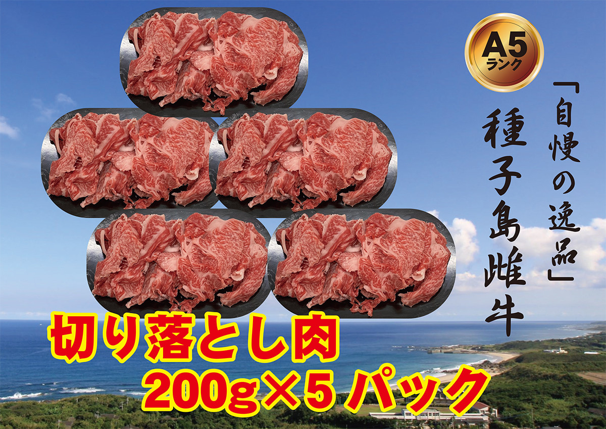 
「 自慢 の逸品」 種子島 生まれ 雌牛 切り落とし 肉 （200g×5パック）NFN539 【300pt】 最高級 赤身 切り落とし肉 かた 肩 もも バラ イノシン酸 オレイン酸
