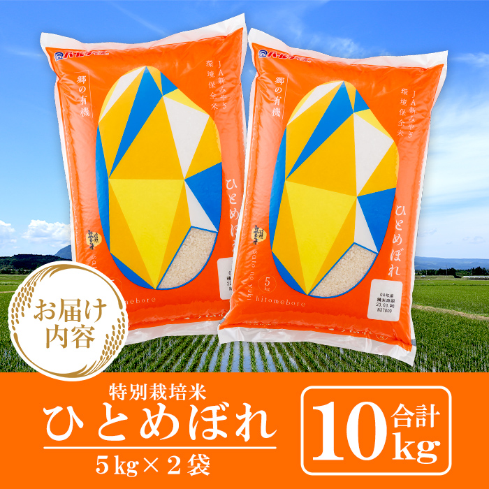 ＜令和5年産＞宮城県産郷の有機ひとめぼれ 5kg×2 ta205【パールライス宮城】