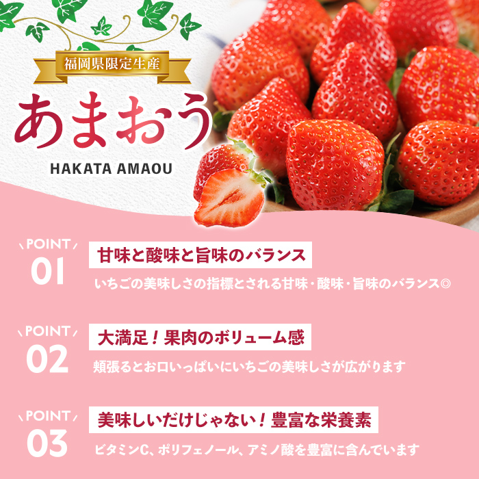 ＜先行予約受付中！2026年2月上旬以降順次発送予定＞＜定期便・全3回(2月・3月・4月)＞博多 あまおう (総計3kg) いちご イチゴ 苺 ストロベリー 果物 フルーツ おやつ デザート 冷蔵 旬