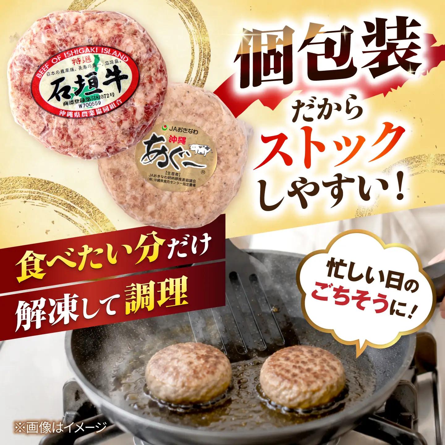 あぐー豚・石垣牛ハンバーグ セット 計800g 石垣牛 ハンバーグ BCAZ003