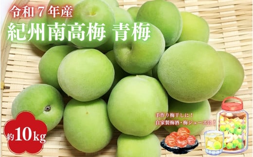 【2025年分先行予約】紀州南高梅　10kg（サイズ混合）※2025年5月下旬～順次発送予定 / 40000円 4万円 田辺市 果物 果実 くだもの かじつ 梅 生梅 梅干し うめぼし 梅酒 梅ジュー