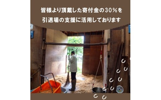 【返礼品なし】 競走馬 引退馬はどこへ？ 黒潮友馬会応援 【4千円コース】 【返礼品なし】4千円コース