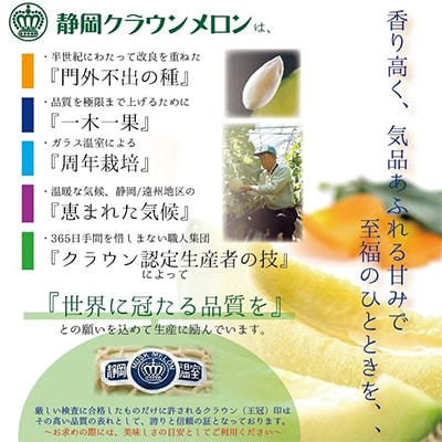 【毎月定期便】クラウンメロン(白等級) 中玉1玉 全3回【配送不可地域：離島・北海道・沖縄県】