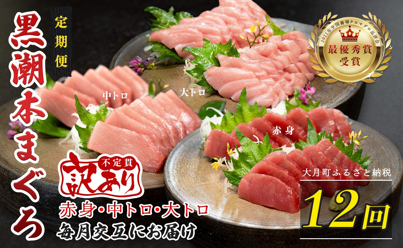 
                  訳あり 不定貫 定期便 12回 国産 養殖本マグロ 大トロ・中トロ・赤身 3種 毎回300g 月替わり×12回 黒潮本まぐろ 全国養殖クロマグロ品評会 最優秀賞受賞 12ヶ月 12か月 一年 柵 刺身用 本マグロ クロマグロ 本鮪 まぐろ 鮪 お刺身 さしみ 大トロ トロ 中トロ 赤身 海鮮丼 漬け丼 手巻き寿司 鉄火丼 まぐろ丼 小分け 個包装 真空パック 冷凍 不揃い 家庭用 海鮮 17万円
                