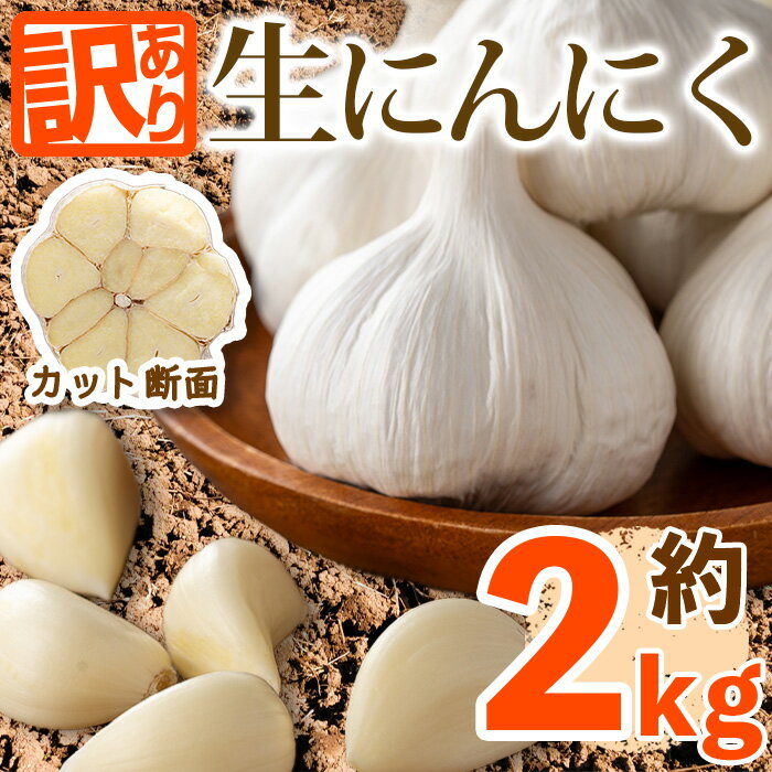 【ふるさと納税】＜先行予約！2026年5月上旬以降順次発送予定＞＜訳あり・家庭用＞香川県産 生にんにく(約2kg) 国産 野菜 ニンニク 生ニンニク 大蒜 薬味 産地直送 【man068】【Aglio nero】