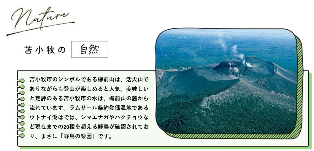 北海道苫小牧市ANAトラベラーズホテル割引クーポン3,000点分