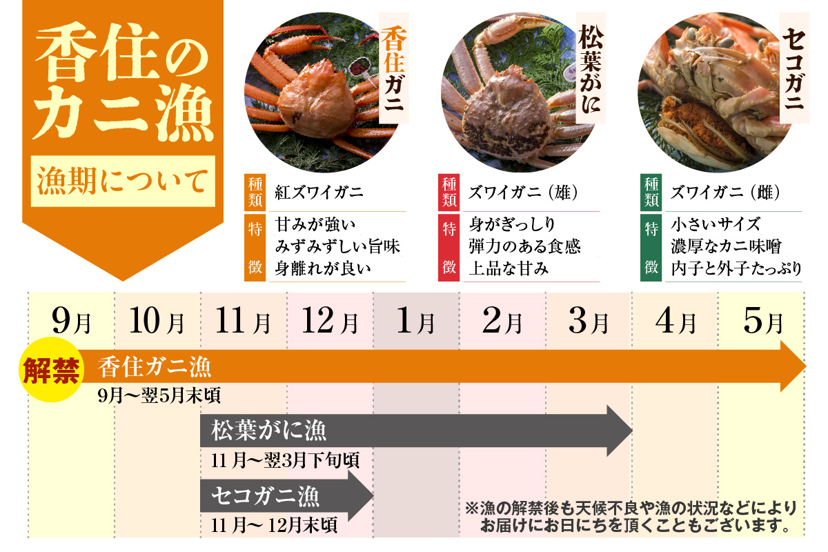 香住ガニ 生足 6肩 かにすきダシ付 冷凍 かに カニ 香美町 07-35