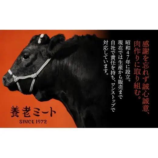 【飛騨牛】ロースまたは肩ロース600g (焼肉・BBQ用)