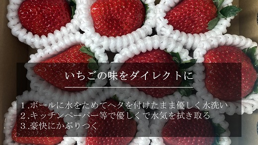 特大いちご(紅ほっぺ)　400g以上(7〜10粒、1粒40g以上)・O036-12 ／オオダケイチゴ 