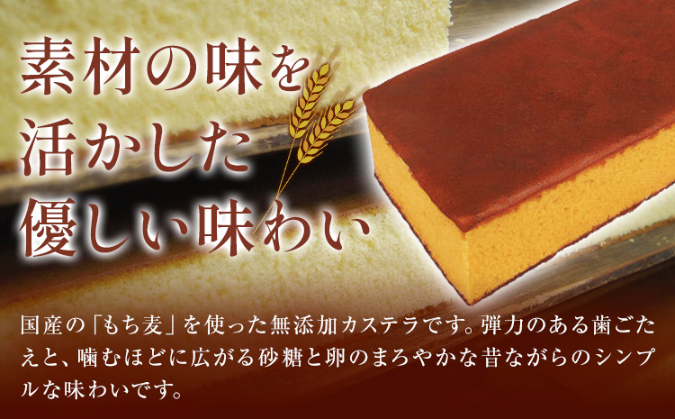 もち麦カステラ 2本 株式会社玉利軒《30日以内に出荷予定(土日祝除く)》岡山県 笠岡市 カステラ もち麦 お土産 和菓子 手土産 送料無料 冷蔵配送---T-09_cool---