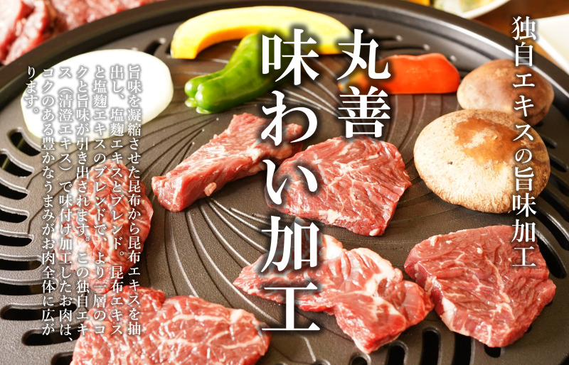 【氷温熟成×極味付け】牛肉 ハラミ 1kg（250g×4） mrz0021_イメージ2