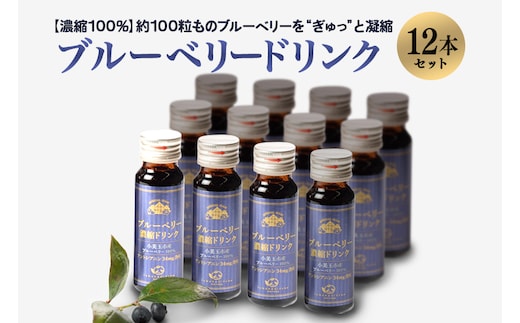
										
										濃縮100％ブルーベリードリンク 9-E
									