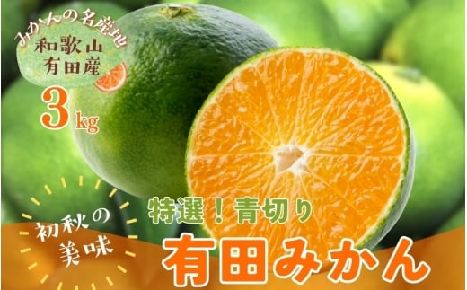 【先行予約】【2025年9月中旬～10月中旬頃発送予定】【初秋の美味】【農家直送】特選!青切り有田みかん　3kg　【ard043B】