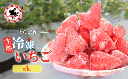 いちご きらぴ香 完熟冷凍 ありすふぁーむ 静岡県産 いちご【約1kg】【冷凍】