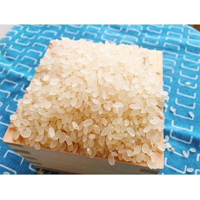 ふるさと納税 西尾市 【令和7年産】おのださんちのハッピー米《特別栽培米コシヒカリ》白米10kg・O017-27