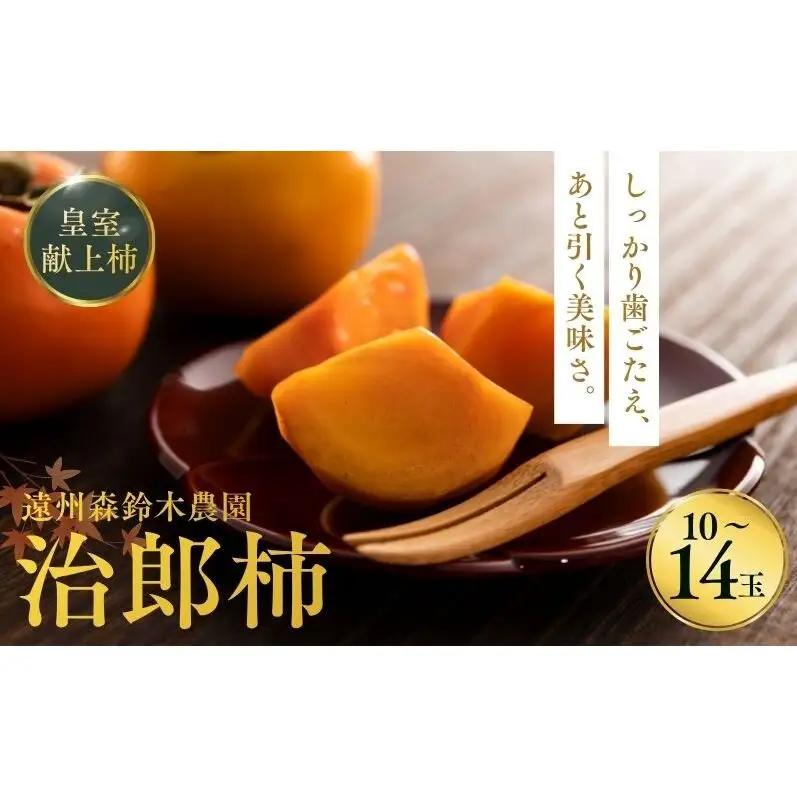 柿 遠州森鈴木農園 治郎柿 10～14玉 フルーツ 柿