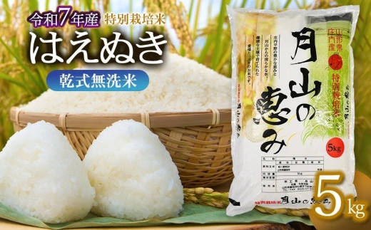 【令和7年産】 特別栽培米 はえぬき 乾式無洗米 5kg (5kg×1袋) 山形県鶴岡市産　米工房 月山【令和8年6月22日～6月28日発送】 | 国産 ブランド米 米どころ 庄内米 ご飯 おにぎり 冷めても美味しい お弁当 おすすめ 人気 贈答 ギフト プレゼント 農家直送 発送週 選べる