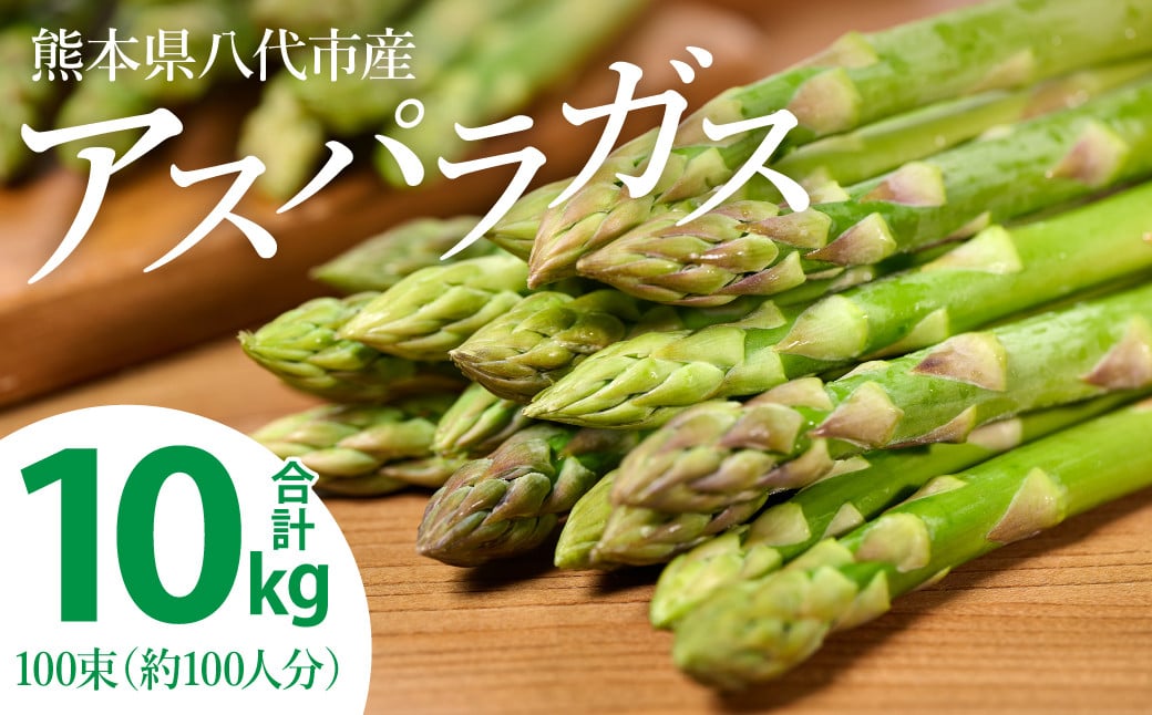 
                  【先行予約】 熊本県 八代市産 アスパラガス 10kg 新鮮 アスパラ 野菜 やさい 旬 【2026年4月上旬より順次発送】
                