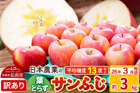 【26年3月発送】りんご 平均糖度13度以上！ 葉とらずサンふじ 約3kg 訳あり 青森 果物 フルーツ 林檎 リンゴ くだもの 不揃い 規格外