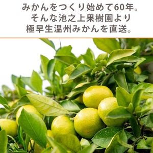 ＜先行予約・ 数量限定＞ 極早生 温州みかん 10kg 箱満杯バラ詰め！2S～Lサイズ 【B-395H】