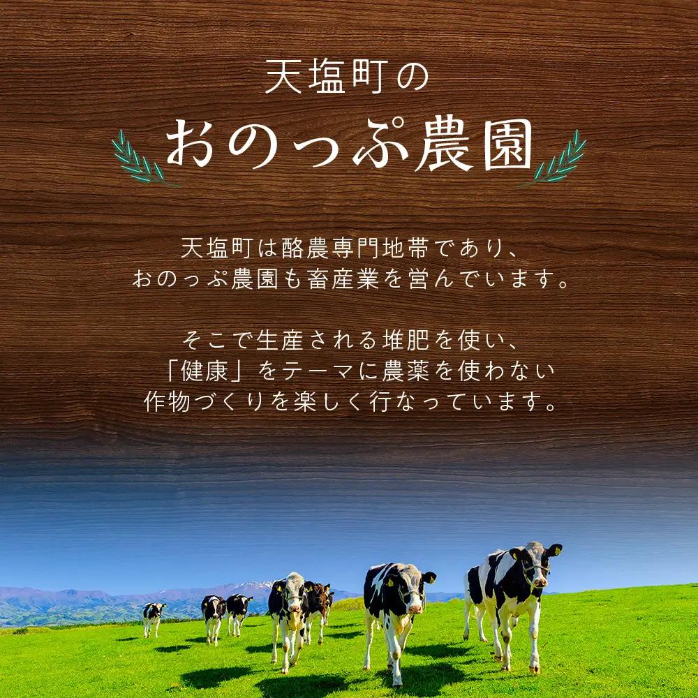 2026年分予約開始★北海道産大玉にんにく1kg《おのっぷ農園》