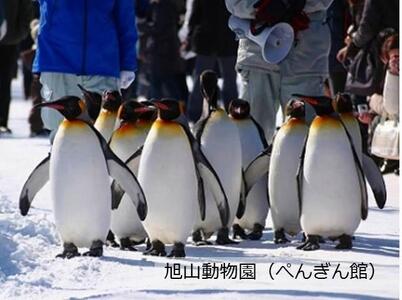 【旭川市】JTBふるさと旅行券（900,000円分）有効期間5年 | 予約 宿泊 観光 体験 温泉 ホテル 旅館 チケット 子供 子連れ カップル 家族 店頭 電話 旭川