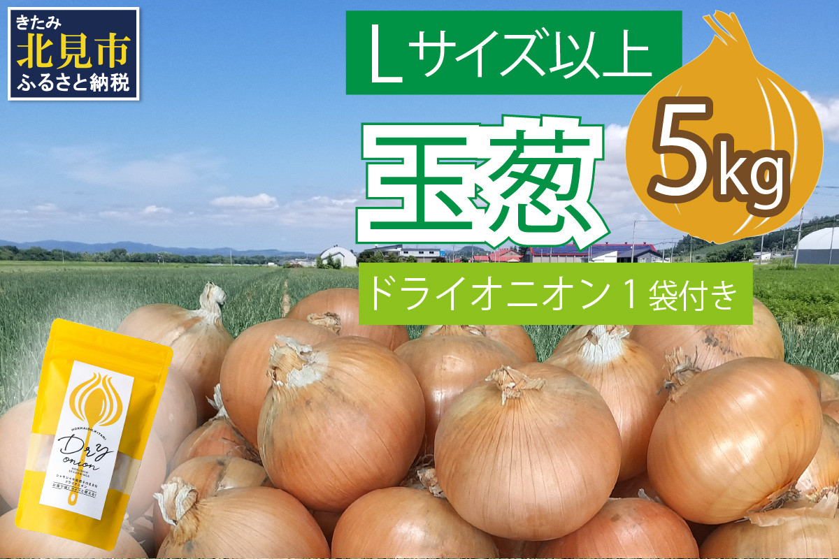 
【予約】玉葱 5kg Lサイズ以上 北見ドライオニオン1袋付き ( 玉ねぎ たまねぎ ドライオニオン セット ふるさと納税 北見市 )【148-0015-2024】
