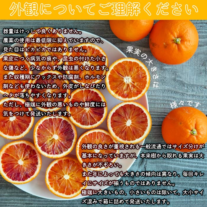 【先行予約】＜無茶々園のブラッドオレンジ 約3kg＞ フルーツ 果物 みかん ミカン 蜜柑 柑橘 期間限定 季節限定 無茶々園 食べて応援 特産品 愛媛県 西予市
