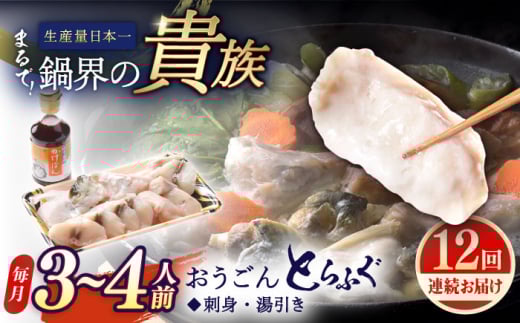 【全12回定期便】活〆おうごんとらふぐ 鍋 セット 約400g 平戸市 / 松永水産 [KAB272]おうごんとらふぐ 鍋 通販 お取り寄せ 長崎 ふぐちり てっちり 高級魚 海鮮 グルメ ギフト