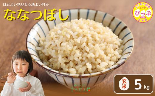 令和7年産 新米 ななつぼし 玄米 5kg【たかだ畑】 米 お米 北海道米 特Aランク 国産 玄米 コメ 2025年産 北海道 比布町 ぴっぷ 1018-014