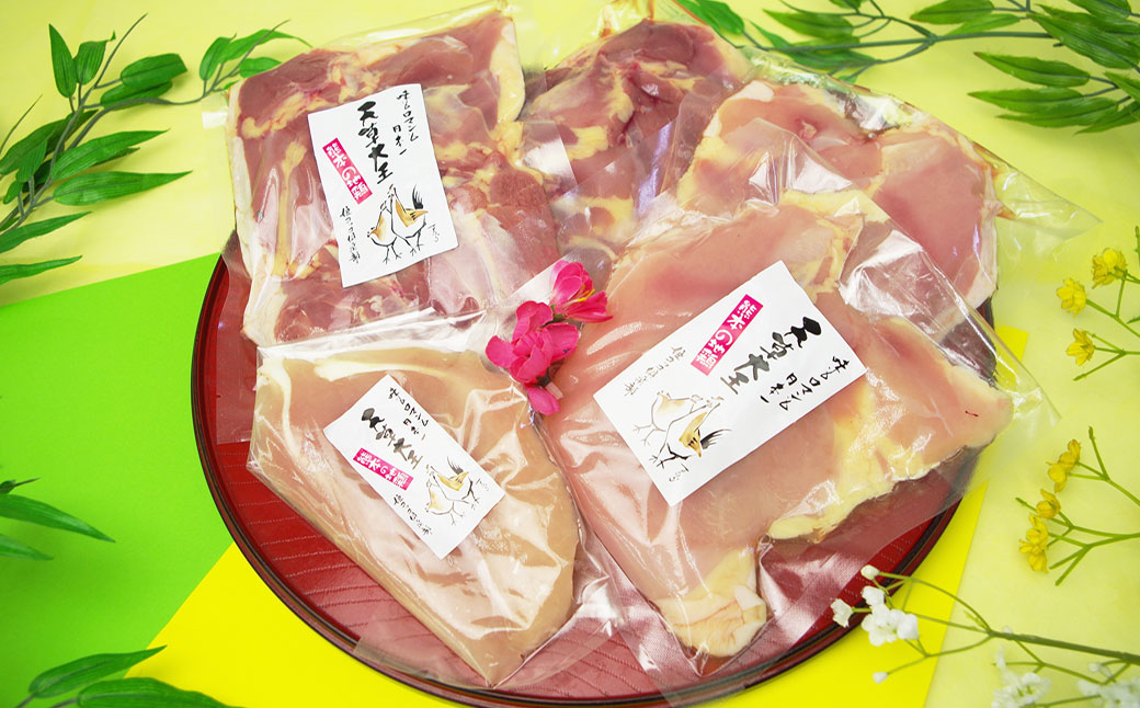 天草大王精肉セット（モモ、ムネ、ササミ） 約1.5kg×2セット 計約3kg 天草大王 モモ ムネ ササミ